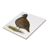 Tennessee-Rot-Wachteln Fliese (Seite)