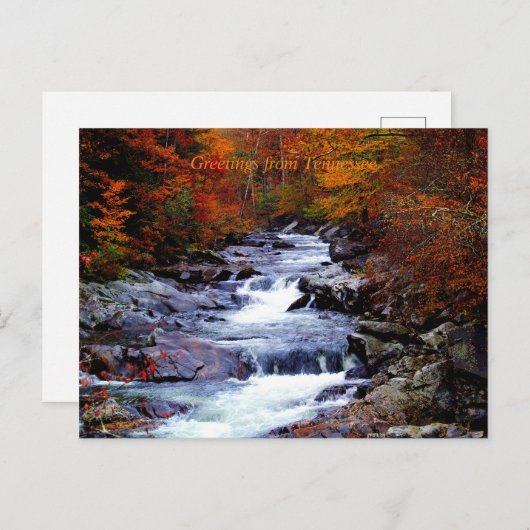 Tennessee, Smoky-Nationalpark Postkarte (Vorne/Hinten)