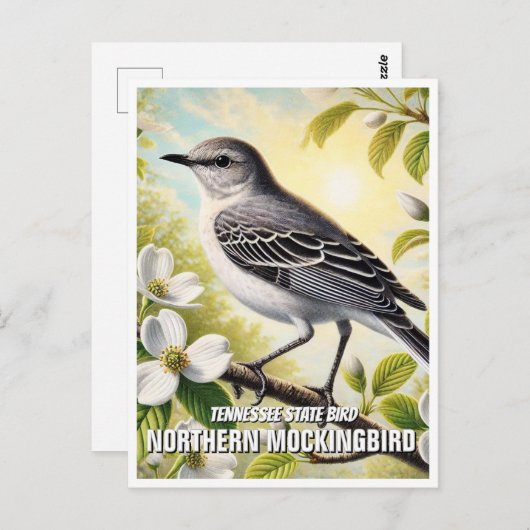 Tennessee Staat Bird Northern Mockingbird Postkarte (Vorne/Hinten)