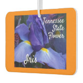 Tennessee Staat Blume Iris Natur Autolufterfrischer (Links)