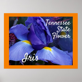 Tennessee Staat Blume TN Iris Poster