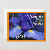 Tennessee Staat Blume TN Iris Postkarte (Vorne/Hinten)