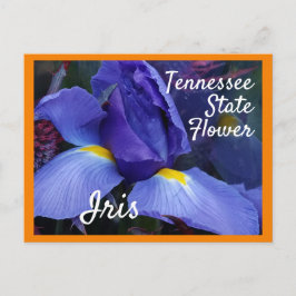 Tennessee Staat Blume TN Iris Postkarte