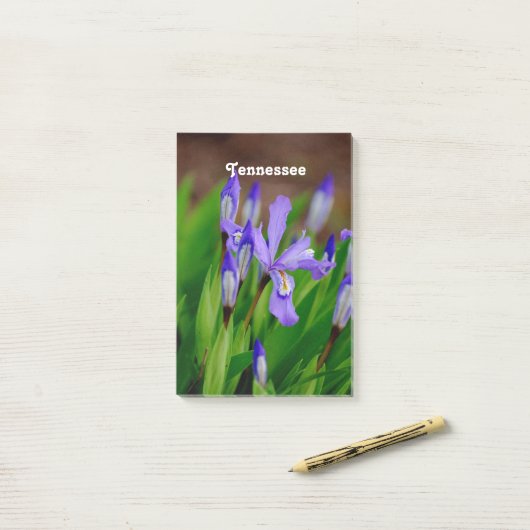Tennessee-Staats-Blume Post-it Klebezettel (Auf Schreibtisch)