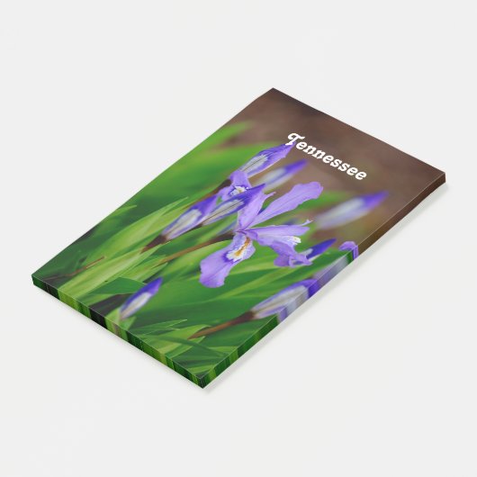 Tennessee-Staats-Blume Post-it Klebezettel (angewinkelt)