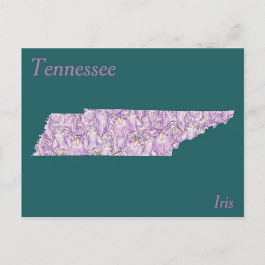 Tennessee-Staats-Blumen-Collagen-Karte Postkarte (Vorderseite)