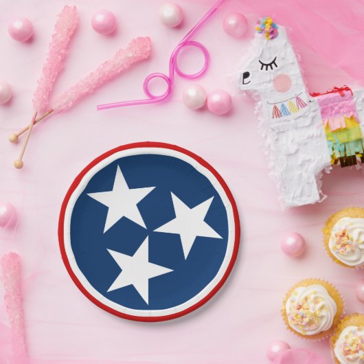 Tennessee State Flag Blaue weiße Stars Pappteller (Party)