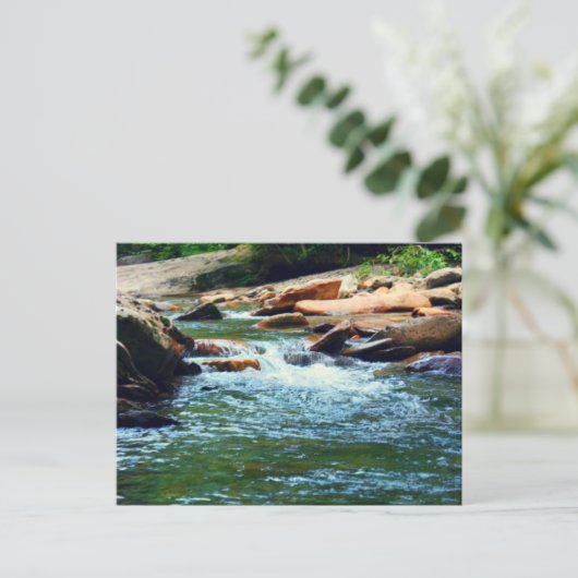 Tennessee Stream Postkarte (Stehend Vorderseite)