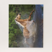 Tennessee Walker läuft durch Wasser Puzzle (Vertikal)