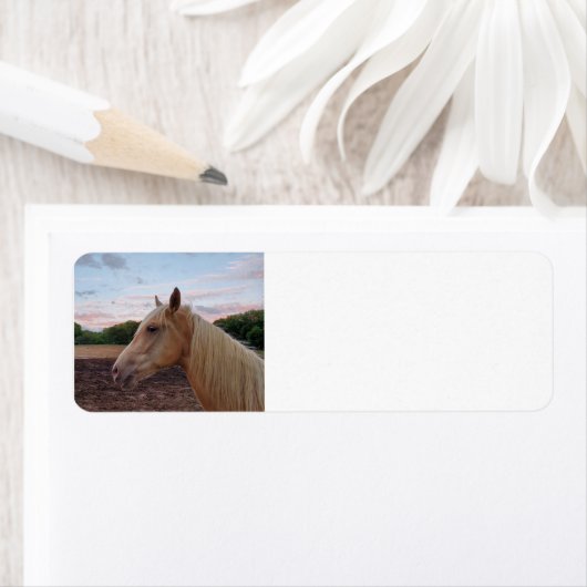 Tennessee Wanderross (Insitu)