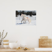 Tennessee Wanderross im Schnee Poster (Küche)