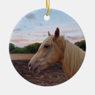 Tennessee Wanderross Keramik Ornament