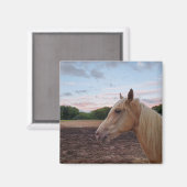 Tennessee Wanderross Magnet (Vorderseite/Rückseite)