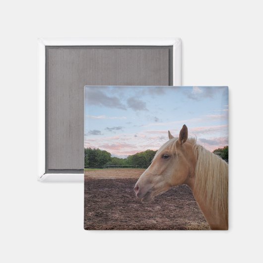 Tennessee Wanderross Magnet (Vorderseite/Rückseite)