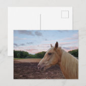 Tennessee Wanderross Postkarte (Vorne/Hinten)