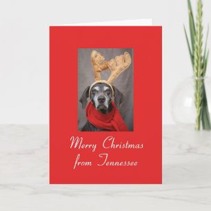 Tennessee Weihnachtskarte, Staat spezifisch Feiertagskarte