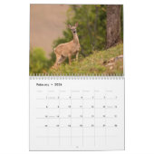 Tennessee-wild lebende Tiere 2010 Kalender (Feb 2026)
