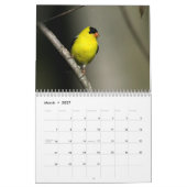 Tennessee-wild lebende Tiere 2010 Kalender (Mär 2027)