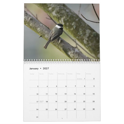 Tennessee-wild lebende Tiere 2010 Kalender (Jan 2027)