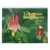 Tennessee-Wildblumen 2013 Kalender (Titelbild)
