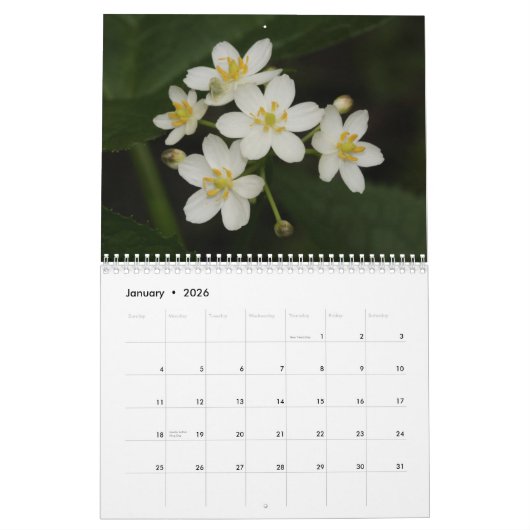 Tennessee-Wildblumen 2013 Kalender (Jan 2026)