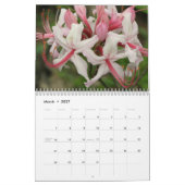 Tennessee-Wildblumen 2013 Kalender (Mär 2027)