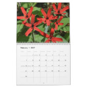 Tennessee-Wildblumen 2013 Kalender (Feb 2027)