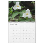 Tennessee-Wildblumen Kalender (Jan 2027)