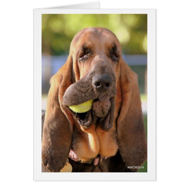 Tennis, jemand? (Vorne)