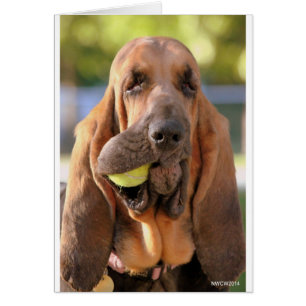Tennis, jemand?