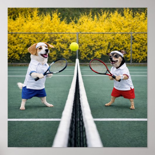 "Tennis, jemand?" Poster (Vorne)
