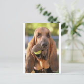 Tennis, jemand? postkarte (Stehend Vorderseite)