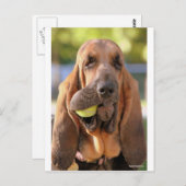 Tennis, jemand? postkarte (Vorne/Hinten)