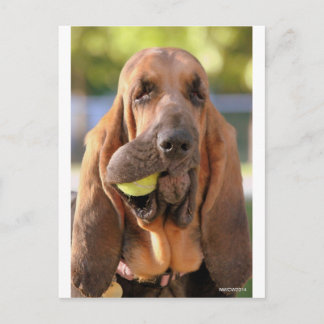 Tennis, jemand? postkarte