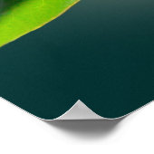 Tennis Magnolia, Tennis Poster (Ecke)