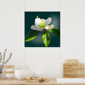 Tennis Magnolia, Tennis Poster (Küche)