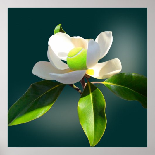 Tennis Magnolia, Tennis Poster (Vorne)