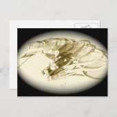 TENNIS RACKETS POSTKARTE (Vorne/Hinten)