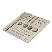 Tennis-Schläger und Billardstöcke, vom 'Encyc Fliese (Seite)