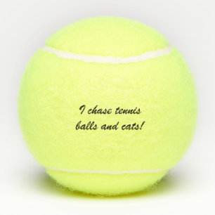 Tennisball für den Hund Tennisbälle