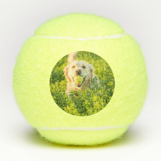 Tennisball für Hund mit Bild und Name Tennisbälle (Vorderseite)