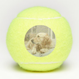 Tennisball mit dem Bild des Goldenen Retriever Tennisbälle