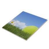 Tennisbälle Fliese (Seite)