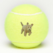 Tennisbälle mit goldendoodle (Rückseite)