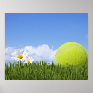 Tennisbälle Poster
