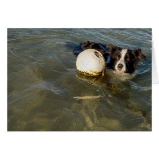 Tennisbälle sind für die Schwächlinge!