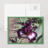 Tennision Ridge Postkarte (Vorne/Hinten)