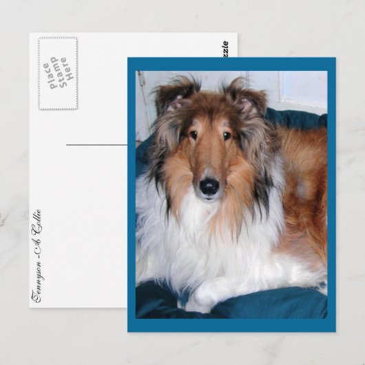 Tennyson-A collie Postkarte (Vorne/Hinten)