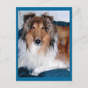 Tennyson-A collie Postkarte