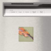 Tenor viol, 1667 magnet (In Situ (Geschirrspüler))